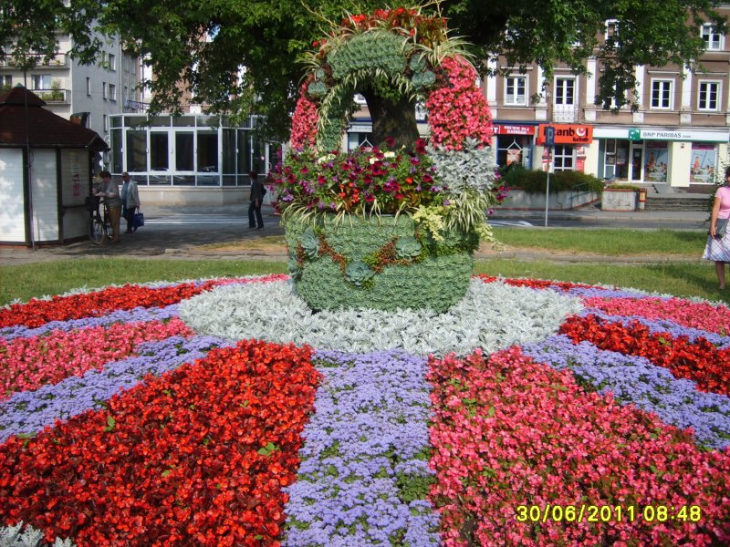 kosz kwiatowy na kwietniku 2