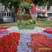 kosz kwiatowy na kwietniku 2