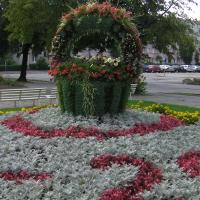 kosz kwiatowy na kwietniku 3