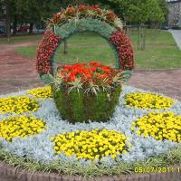 kosz kwiatowy z serwetą 8