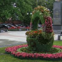 kosze kwiatowe z serwetami