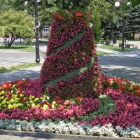 stożek na kwietniku 2