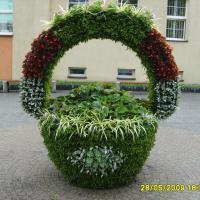 struktura kwiatowa w postaci kosza