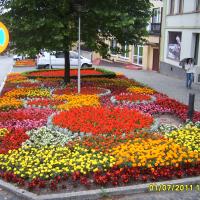 kwietnik - mieszanka kolorów