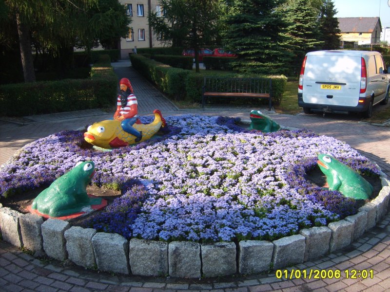 kwietnik - żeniszek, lobelia