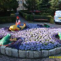 kwietnik - żeniszek, lobelia