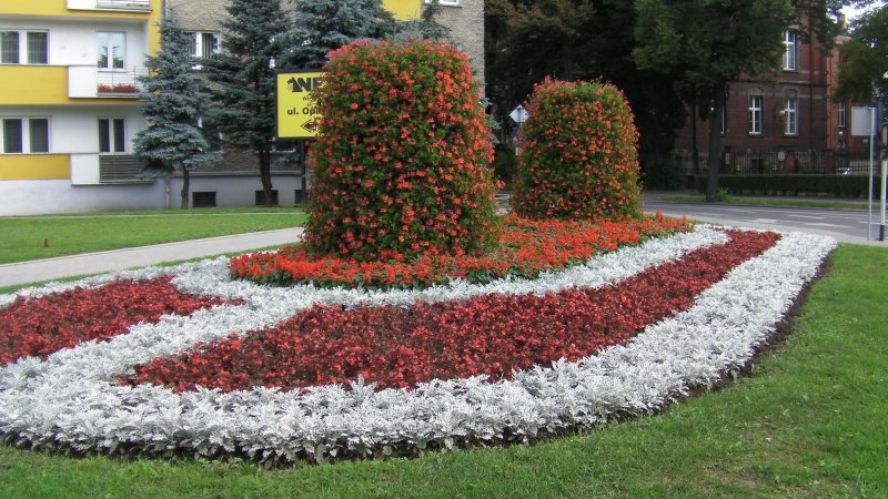 wieże na kwietniku 2