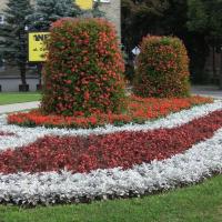 wieże na kwietniku 2