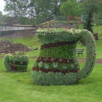 dzbanek i filiżanki 2