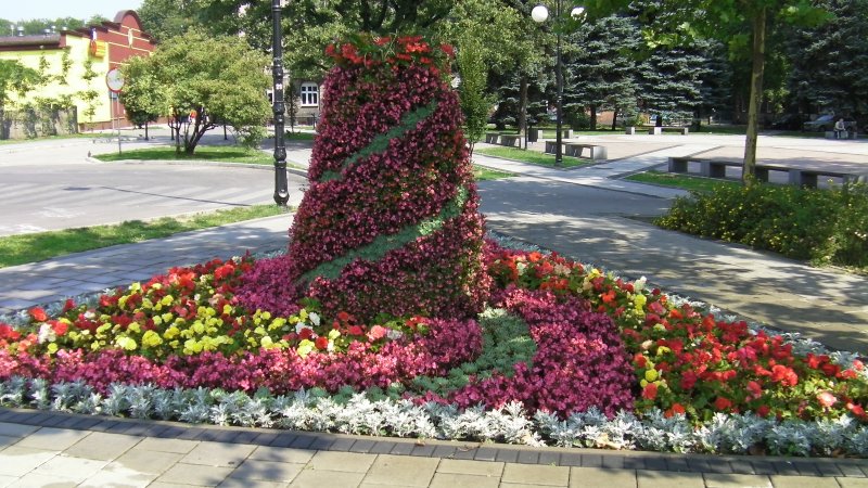 stożek na kwietniku 2