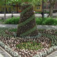 stożek na kwietniku 3