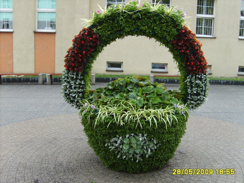 struktura kwiatowa w postaci kosza