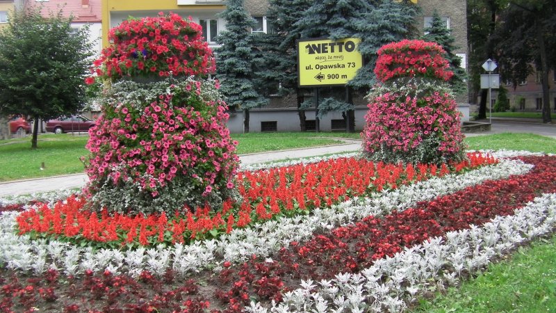 wieże na kwietniku 2