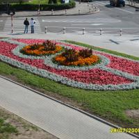 kwietnik - canna, tagetes, szałwia, strzec, begonia semperflorens - perspektywa